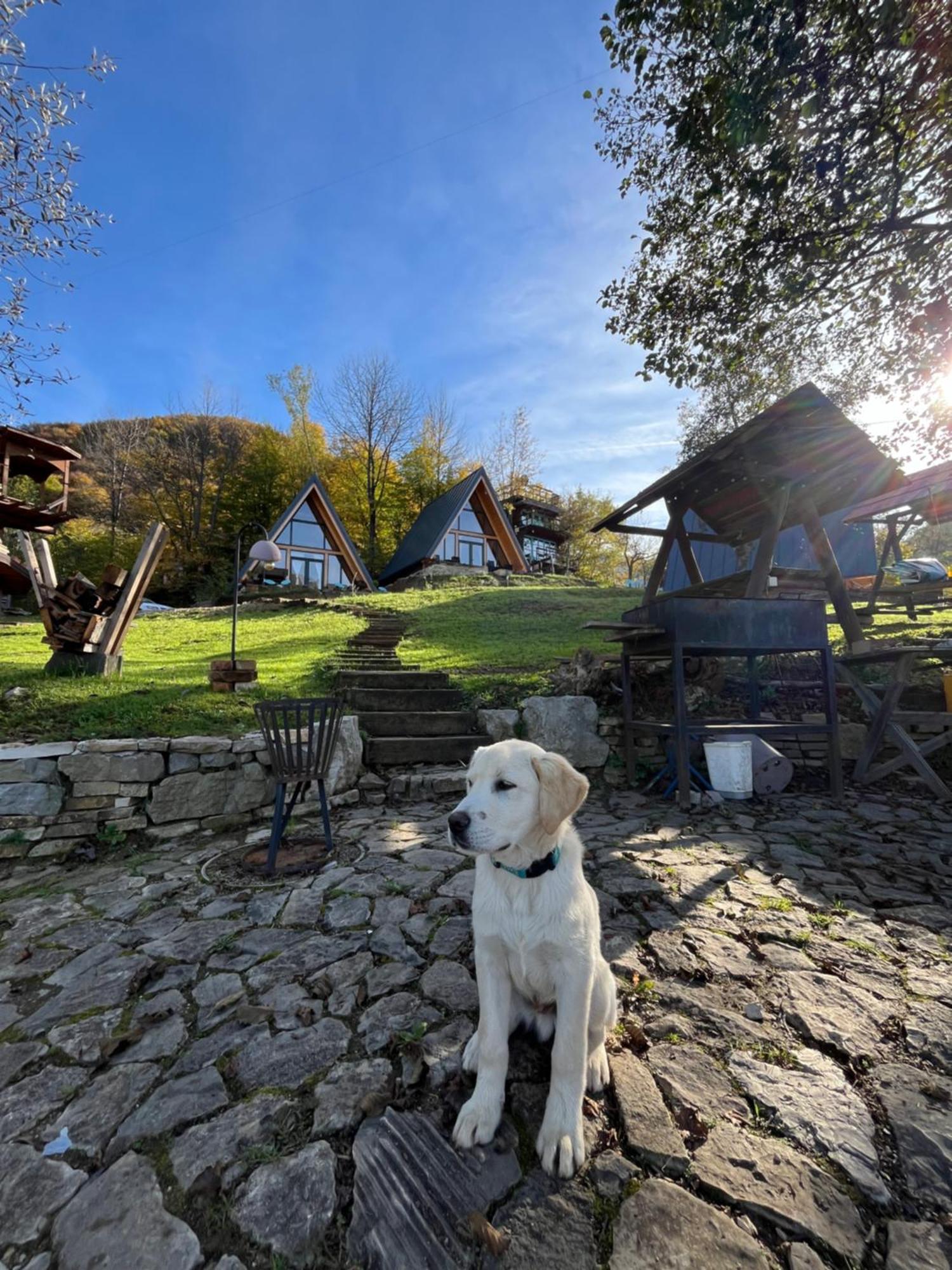 Vikendica - Rajski Poluotok Jajce Buitenkant foto
